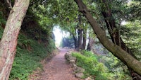 san francisco's san francisco bay trail